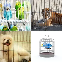 4 Bilder 1 Wort Level 1671 Bilder