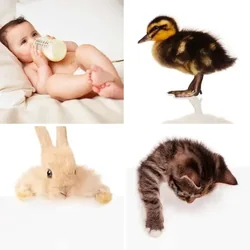 4 Bilder 1 Wort Level 1678 Bilder