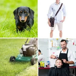 4 Bilder 1 Wort Level 1691 Bilder