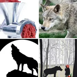 4 Bilder 1 Wort Level 170 Bilder