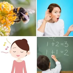 4 Bilder 1 Wort Level 1702 Bilder