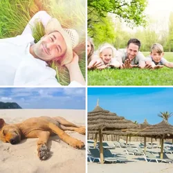 4 Bilder 1 Wort Level 1705 Bilder