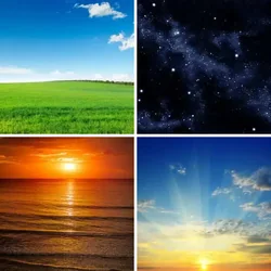 4 Bilder 1 Wort Level 1711 Bilder