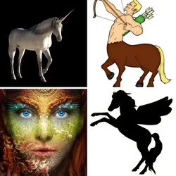4 Bilder 1 Wort Level 1717 Bilder
