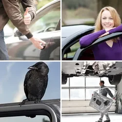 4 Bilder 1 Wort Level 1721 Bilder