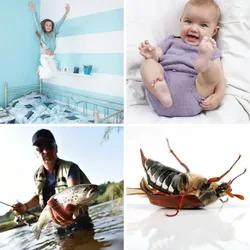 4 Bilder 1 Wort Level 1725 Bilder