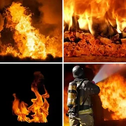 4 Bilder 1 Wort Level 1731 Bilder