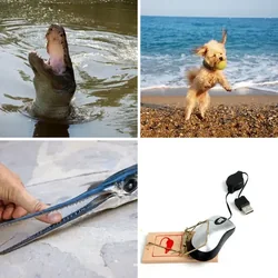 4 Bilder 1 Wort Level 1739 Bilder