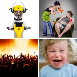 4 Bilder 1 Wort Level 174 Bilder