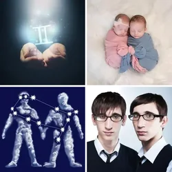 4 Bilder 1 Wort Level 1740 Bilder