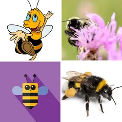 4 Bilder 1 Wort Level 1742 Bilder
