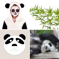 4 Bilder 1 Wort Level 1762 Bilder