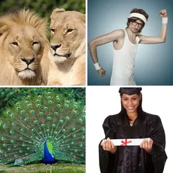 4 Bilder 1 Wort Level 1767 Bilder