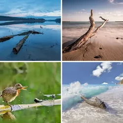 4 Bilder 1 Wort Level 1768 Bilder