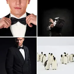 4 Bilder 1 Wort Level 1772 Bilder