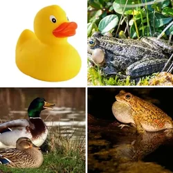 4 Bilder 1 Wort Level 1777 Bilder