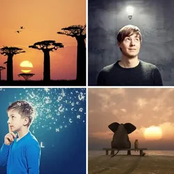 4 Bilder 1 Wort Level 1797 Bilder