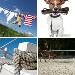 4 Bilder 1 Wort Level 180 Bilder