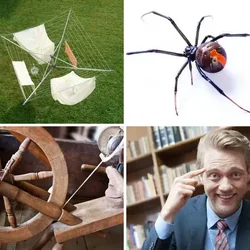 4 Bilder 1 Wort Level 181 Bilder