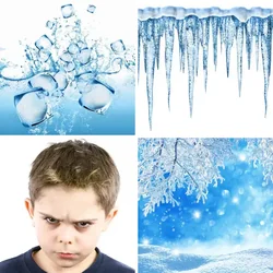 4 Bilder 1 Wort Level 1813 Bilder