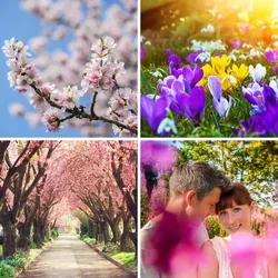 4 Bilder 1 Wort Level 1823 Bilder