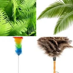 4 Bilder 1 Wort Level 187 Bilder