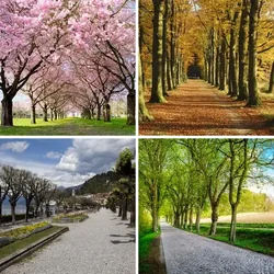 4 Bilder 1 Wort Level 1884 Bilder