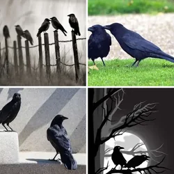 4 Bilder 1 Wort Level 1896 Bilder