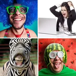 4 Bilder 1 Wort Level 1901 Bilder