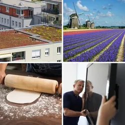 4 Bilder 1 Wort Level 1909 Bilder