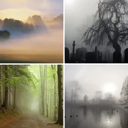 4 Bilder 1 Wort Level 1960 Bilder