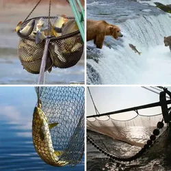 4 Bilder 1 Wort Level 1995 Bilder