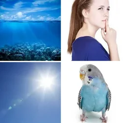 4 Bilder 1 Wort Level 20 Bilder