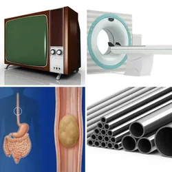 4 Bilder 1 Wort Level 201 Bilder