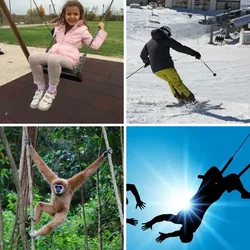4 Bilder 1 Wort Level 2025 Bilder