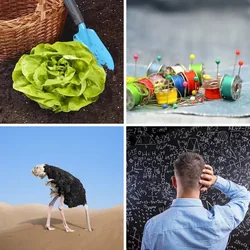 4 Bilder 1 Wort Level 2039 Bilder