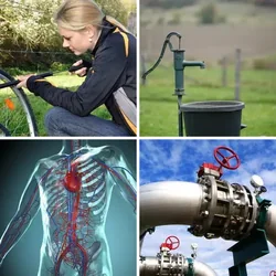 4 Bilder 1 Wort Level 205 Bilder