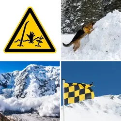 4 Bilder 1 Wort Level 2051 Bilder