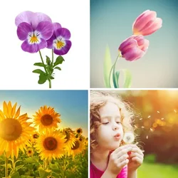 4 Bilder 1 Wort Level 2062 Bilder