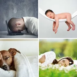 4 Bilder 1 Wort Level 208 Bilder