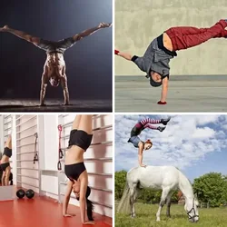 4 Bilder 1 Wort Level 2080 Bilder