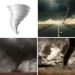 4 Bilder 1 Wort Level 2082 Bilder