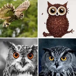 4 Bilder 1 Wort Level 2093 Bilder