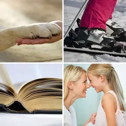 4 Bilder 1 Wort Level 21 Bilder