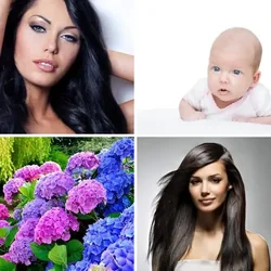 4 Bilder 1 Wort Level 2116 Bilder