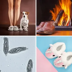 4 Bilder 1 Wort Level 2128 Bilder