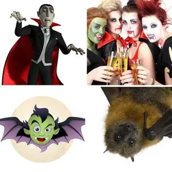 4 Bilder 1 Wort Level 215 Bilder