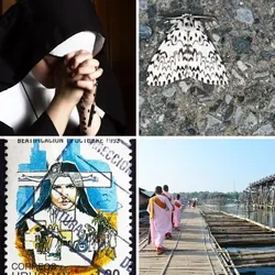 4 Bilder 1 Wort Level 2162 Bilder