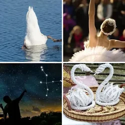 4 Bilder 1 Wort Level 2164 Bilder