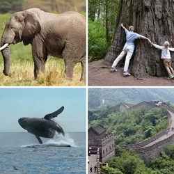 4 Bilder 1 Wort Level 2169 Bilder